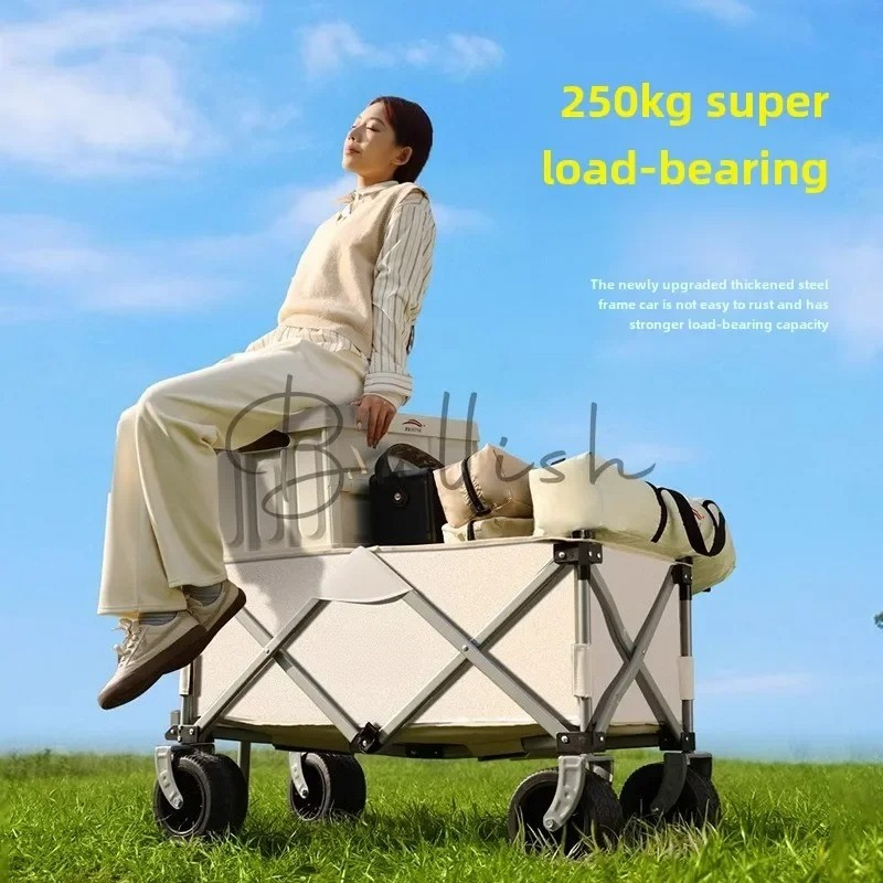Camping trolley Outdoor foldin - Outdoor Camping Trolley recension och pris