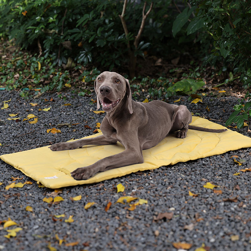 Portable Pet Mat Foldable Pet  - Outdoor Camping Rug Waterproof recension och pris